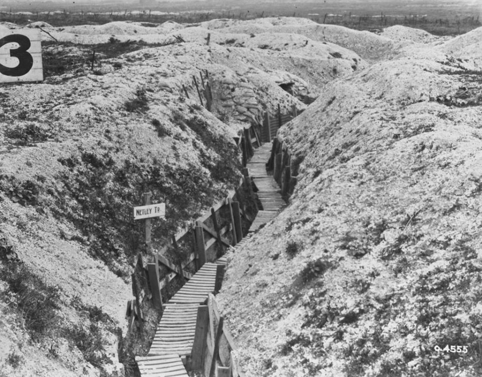 Netley Trench, 1919 (LAC M#3395619).